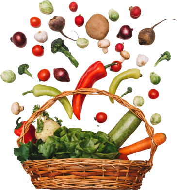 Vegetable Basket